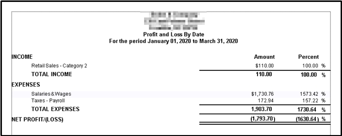 Profit and Loss Report